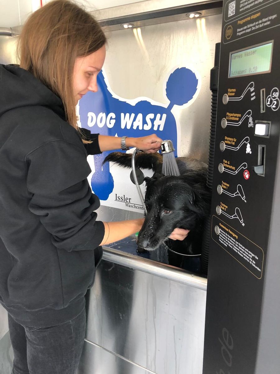 Hund wird im Dogwash von Hand gewaschen