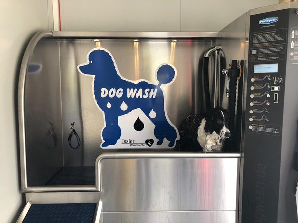 Hund in der Dogwash-Kabine